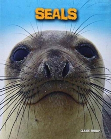 Living in the Wild: Sea Mammals Pack A of 6, Paperback / softback Book Living in the Wild: Sea Mammals Pack A of 6, Paperback / softback Book
