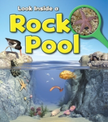 Rock Pool, Hardback Book Rock Pool, Hardback Book