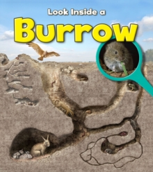 Burrow, Paperback Book Burrow, Paperback Book
