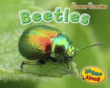 Beetles