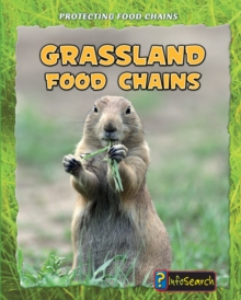 Grassland Food Chains