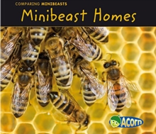 Minibeast Homes