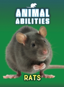 Rats, Hardback Book Rats, Hardback Book