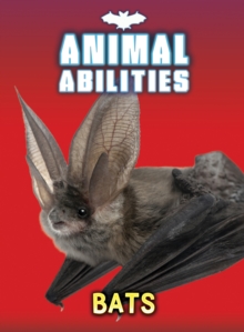 Bats, Paperback / softback Book Bats, Paperback / softback Book