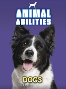 Dogs, Paperback Book Dogs, Paperback Book