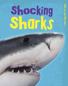 Shocking Sharks, Paperback Book Shocking Sharks, Paperback Book