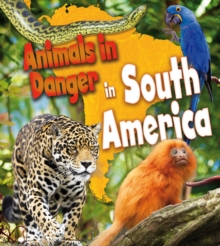 Animals in Danger in South America, Hardback Book Animals in Danger in South America, Hardback Book
