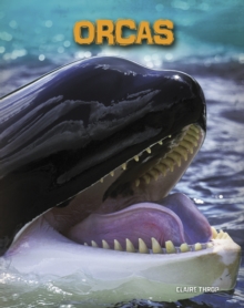 Orcas