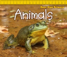 Animals, Paperback Book Animals, Paperback Book