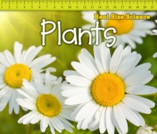 Plants, Paperback Book Plants, Paperback Book