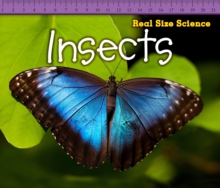 Insects, Paperback Book Insects, Paperback Book