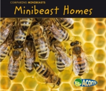Minibeast Homes, Paperback Book Minibeast Homes, Paperback Book