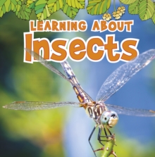 Learning About Insects, Paperback Book Learning About Insects, Paperback Book