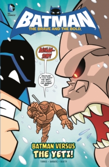 Batman: The Brave and the Bold Pack A of 4, Hardback Book Batman: The Brave and the Bold Pack A of 4, Hardback Book