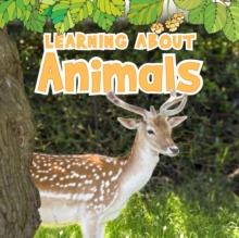 Learning About Animals