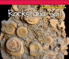 Rocks and Soil