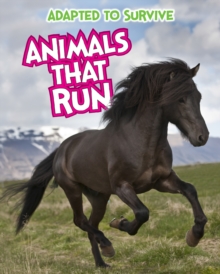 Adapted to Survive: Animals that Run, Paperback / softback Book Adapted to Survive: Animals that Run, Paperback / softback Book