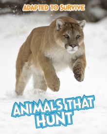 Adapted to Survive: Animals that Hunt