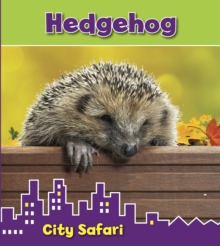 Hedgehog : City Safari, Hardback Book Hedgehog : City Safari, Hardback Book
