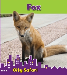 Fox : City Safari, Paperback Book Fox : City Safari, Paperback Book