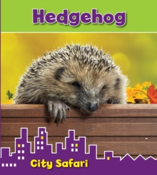 Hedgehog : City Safari, Paperback Book Hedgehog : City Safari, Paperback Book