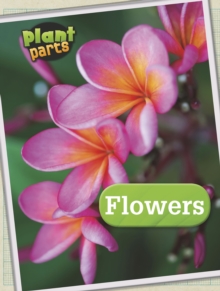 Flowers, Hardback Book Flowers, Hardback Book