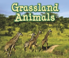 Grassland Animals, Hardback Book Grassland Animals, Hardback Book