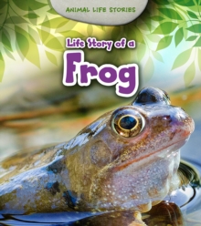 Life Story of a Frog, Paperback Book Life Story of a Frog, Paperback Book