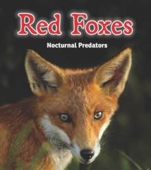 Red Foxes : Nocturnal Predators, Paperback Book Red Foxes : Nocturnal Predators, Paperback Book
