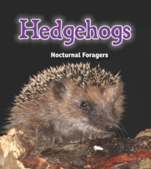 Hedgehogs : Nocturnal Foragers, Paperback Book Hedgehogs : Nocturnal Foragers, Paperback Book