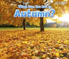 What Can You See In Autumn?, Hardback Book What Can You See In Autumn?, Hardback Book