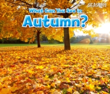 What Can You See in Autumn?, Paperback Book What Can You See in Autumn?, Paperback Book