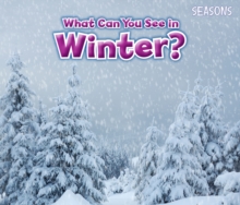 What Can You See in Winter?, Paperback Book What Can You See in Winter?, Paperback Book