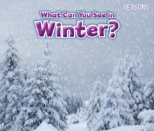 What Can You See In Winter?