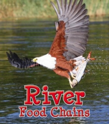 River Food Chains, Paperback Book River Food Chains, Paperback Book