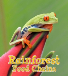 Rainforest Food Chains