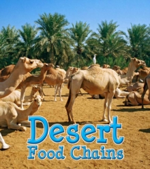 Desert Food Chains