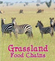 Grassland Food Chains