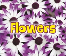All About Flowers, Paperback Book All About Flowers, Paperback Book