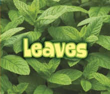 All About Leaves, Paperback Book All About Leaves, Paperback Book