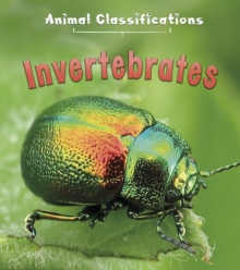 Invertebrates, Hardback Book Invertebrates, Hardback Book