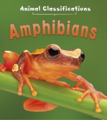 Amphibians, Paperback Book Amphibians, Paperback Book