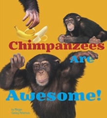 Awesome African Animals Pack A of 6, Hardback Book Awesome African Animals Pack A of 6, Hardback Book