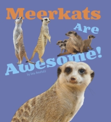 Meerkats are Awesome!, Paperback Book Meerkats are Awesome!, Paperback Book