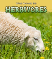 Herbivores