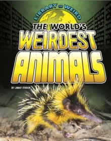 The World's Weirdest Animals, Paperback / softback Book The World's Weirdest Animals, Paperback / softback Book