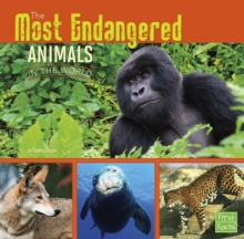 The Most Endangered Animals in the World, Hardback Book The Most Endangered Animals in the World, Hardback Book