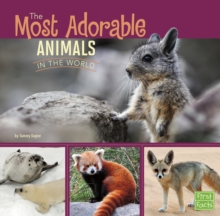 The Most Adorable Animals in the World, Hardback Book The Most Adorable Animals in the World, Hardback Book