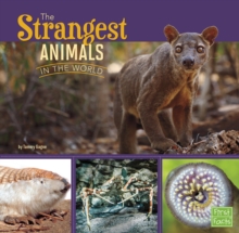 The Strangest Animals in the World, Hardback Book The Strangest Animals in the World, Hardback Book