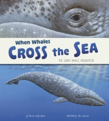 When Whales Cross the Sea : The Grey Whale Migration